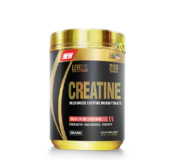 CREATINE 500GR - LEVEL PRO